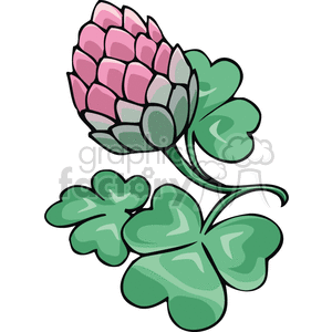 saint patricks day green irish clover clovers   Spel133 Clip Art Holidays St berries berry pink green 3 three leaf