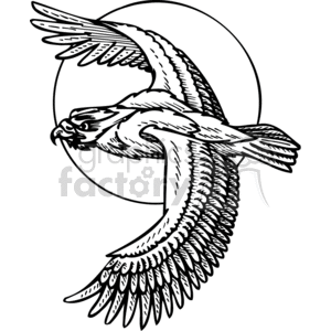 black and white hawk flying by the moon clipart. Commercial use image # 373372