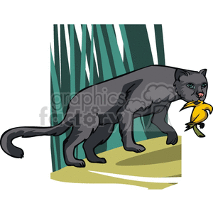 The image depicts a cartoon of a panther with a yellow bird in its mouth. There is long grass of bushes behind 
