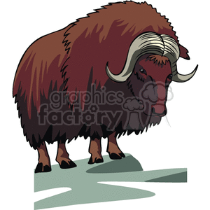 ox bison buffalo buffaloes bisons  Clip Art Animals  wmf jpg png gif vector clipart images clip art real realistic