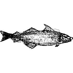 vintage distressed haddock fish GF vector design vintage 1900 vector art GF clipart. Royalty-free image # 402528