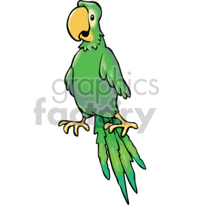 clipart - green pirate parrot.