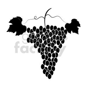 clipart - grapes vector graphic 04.