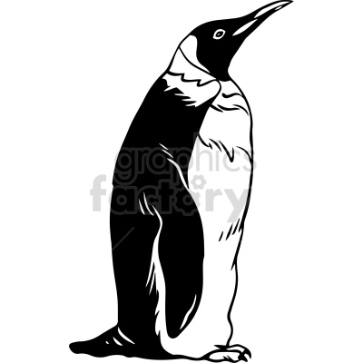 black and white penguin vector clipart