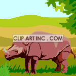 rino rinos rhinoceros  0_Z-02.gif Animations 2D Animals 