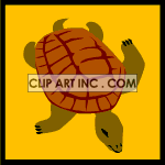 animated sea turtle animation. Royalty-free animation # 118942