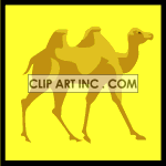   camel camels desert animal animals Animations 2D Animals 