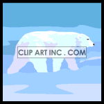   polar bear bears  animals045.gif Animations 2D Animals 
