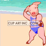pig004aa animation. Commercial use animation # 119067