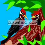   Bird birds woodpecker woodpeckers  woodpecker02.gif Animations 2D Animals 