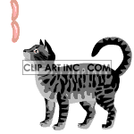 cat-005 animation. Commercial use animation # 119188