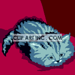 cat-021 animation. Commercial use animation # 119204