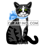 cat-023 animation. Commercial use animation # 119206