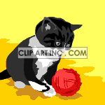   cat cats feline felines kitten kittens yarn ball  cat-025.gif Animations 2D Animals Cats 
