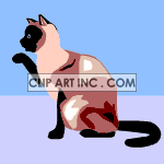 cat-029 animation. Commercial use animation # 119212