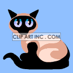 cat-037 animation. Commercial use animation # 119220