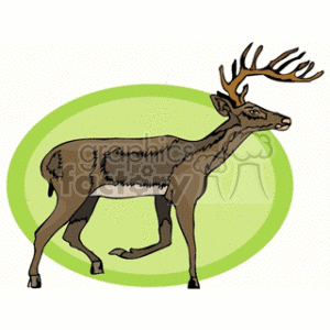 deer4 clipart. Commercial use image # 128899