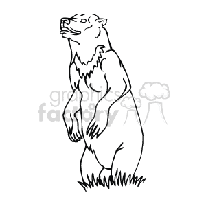  grizzly bear bears   Anml126_bw Clip Art Animals 