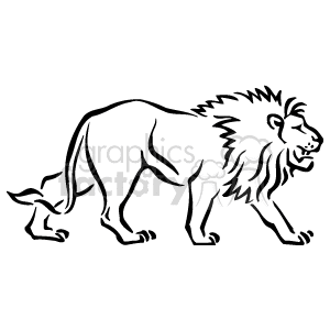  lion lions   Anmls041B_bw Clip Art Animals 