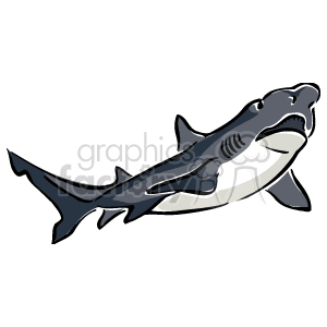 Great white shark clipart. Royalty-free image # 129491