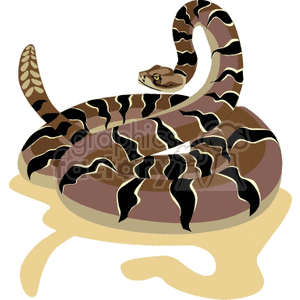 Poisonous rattle snake ready to strike clipart. Commercial use image # 129541