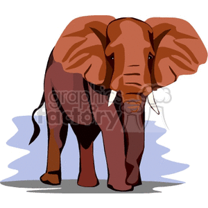 wild elephant clipart. Royalty-free image # 129549