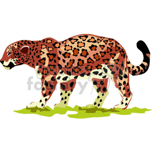 cheetah clipart. Commercial use image # 129553