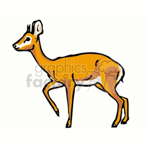  Addax addaxes horns antlers antler deer deers baby  addax4.gif Clip Art Animals African young calf