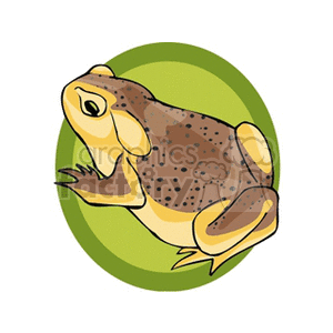 Full body profile of brown toad clipart. Royalty-free image # 129836