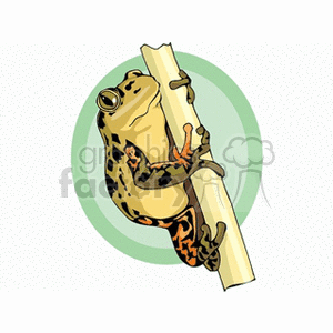 clipart - Tan spotted frog climbing .