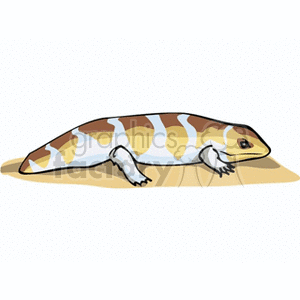 Fat salamander with tan spots clipart.
