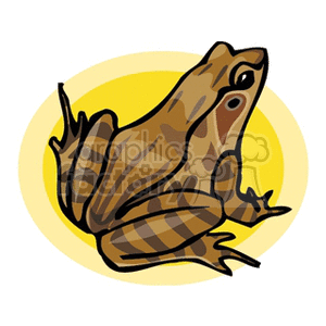 Brown toad with stripes on legs clipart.