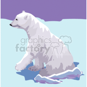 Polar bear seated on the ice clipart. Commercial use image # 130103