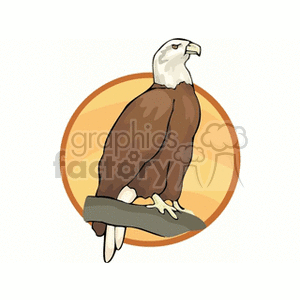clipart - Bald eagle perched on tree limb.