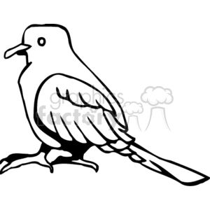 Black and white long tail bird clipart. Royalty-free image # 130237