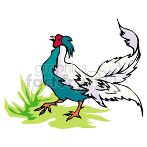 Colorful rooster prancing in grass clipart. Royalty-free image # 130277
