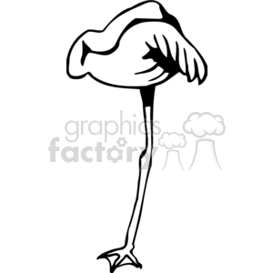 clipart - Black and white flamingo sleeping on one leg.