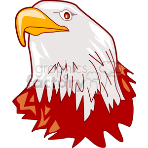 clipart - American Bald eagle head.