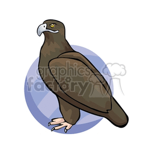 Large field eagle clipart.