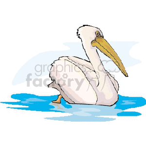clipart - Pelican swimming in blue water.