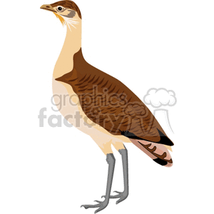 Large quail standing upright clipart. Royalty-free image # 130604
