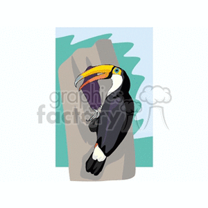 Toco toucan on perched on the side of a tree
