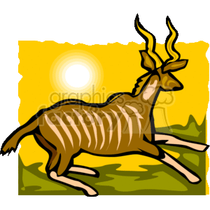 Bongo antelope leaping against an orange sunset clipart.