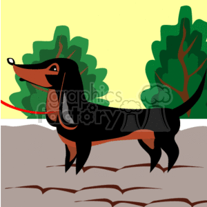 dachshund going on a walk clipart. Royalty-free image # 131586