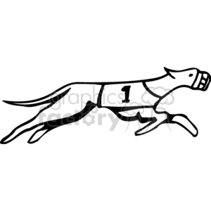   dog dogs animals canine canines race racing greyhound greyhounds Clip Art Animals Dogs 