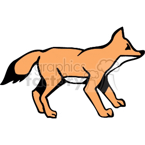   fox foxes dog dogs animals canine canines  PAB0161.gif Clip Art Animals Dogs 