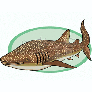 Whale Shark clipart. Royalty-free image # 132397