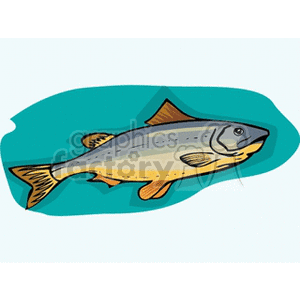 salmon fish clipart. Royalty-free image # 132402