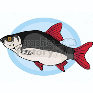fish153 clipart. Commercial use image # 132417