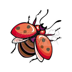   beatle beatles beetle beetles bug insect insects bug bugs lady ladybug ladybugs  bug15.gif Clip Art Animals Insects 
